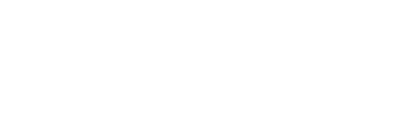 Arts council
