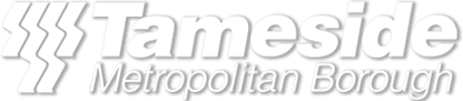 Tamside Council